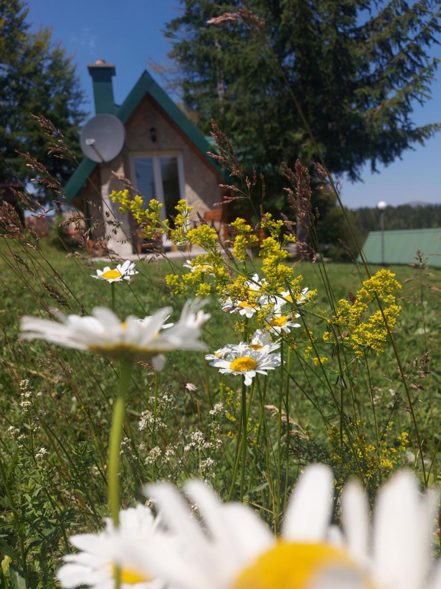 Durmitor Bungalows Žabljak Екстериор снимка